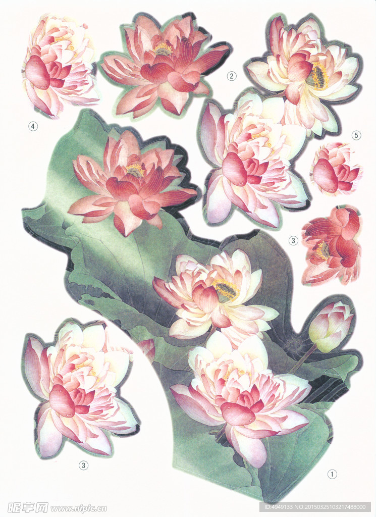 中国扇画