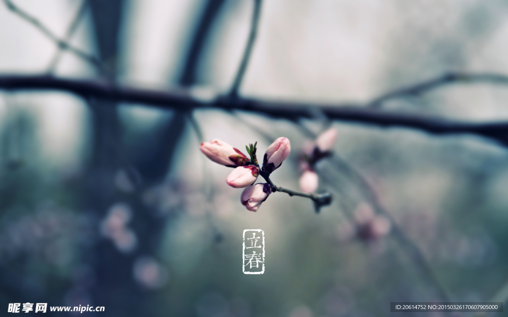 立春