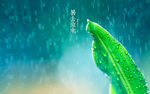 立秋