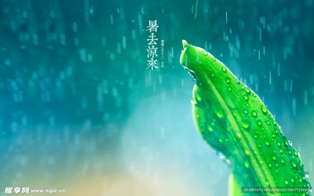 立秋