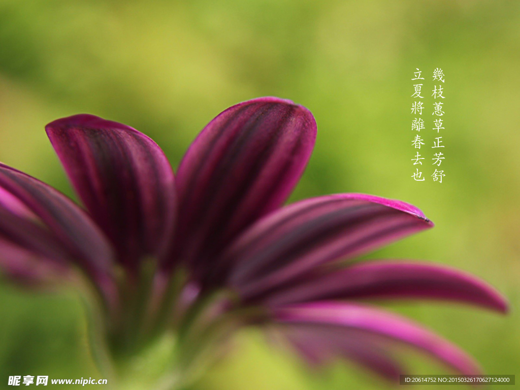 立夏