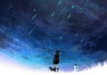 流星雨之夜