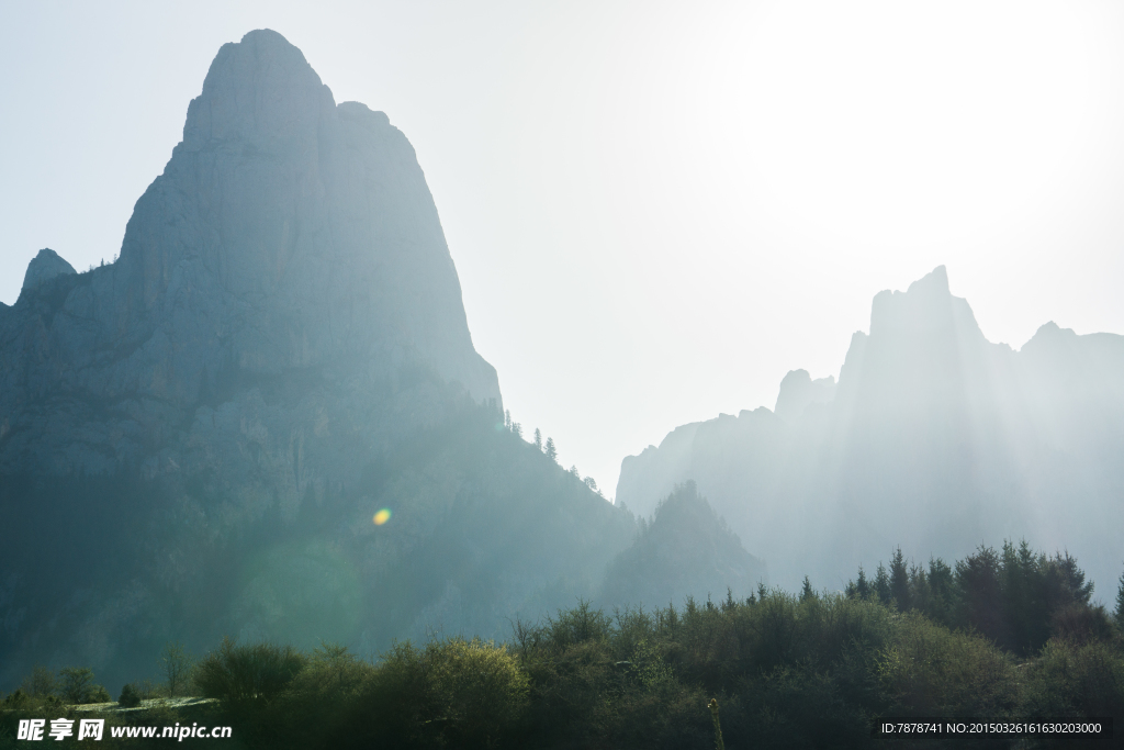 春天的山林峡谷风光