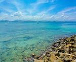 海岸特写