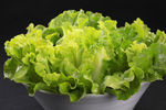 生菜