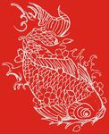 花纹鲤鱼