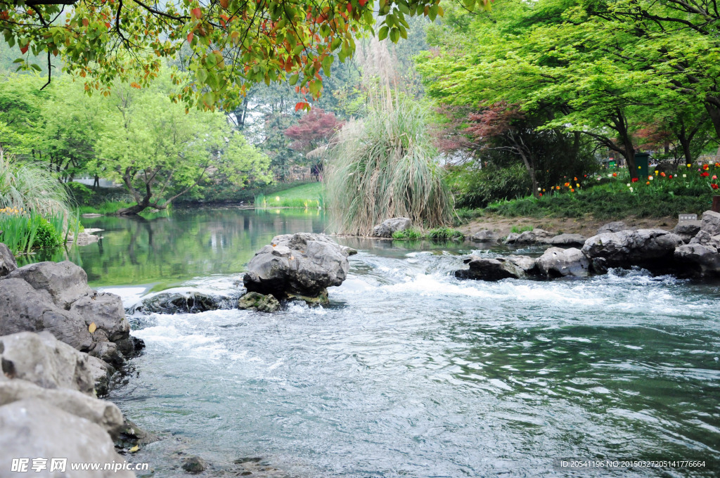 春来河湾绿