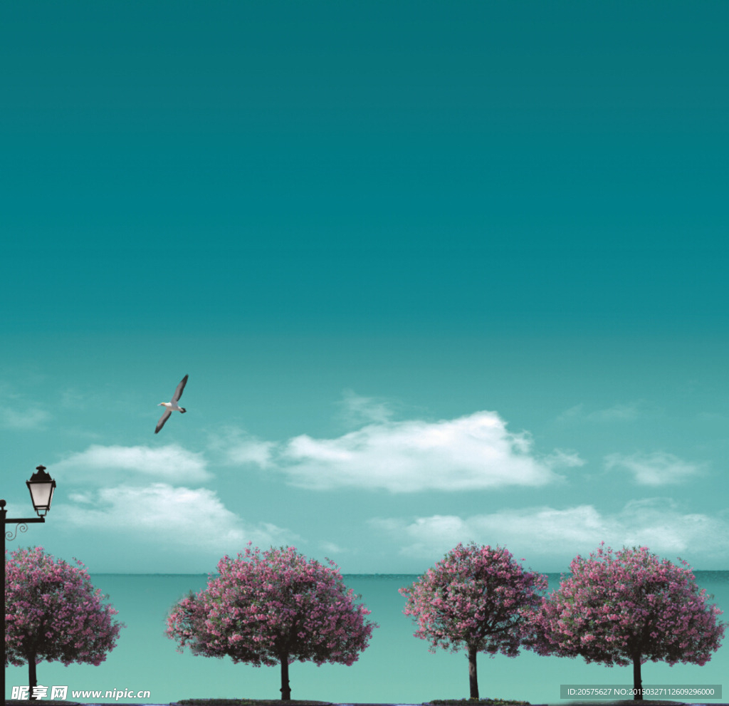 风景