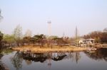 玉渊潭公园风光