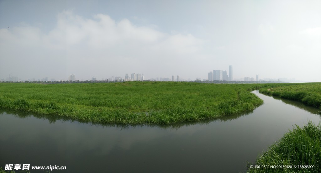 湘江草甸
