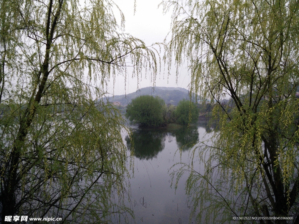 桃子湖雨景