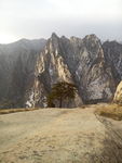 西安华山