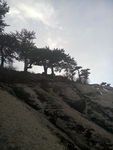 西安华山