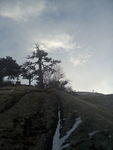 西安华山