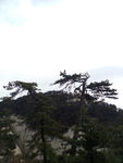 西安华山