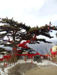 西安华山