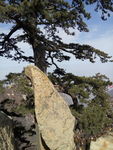 西安华山