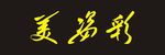 美资彩