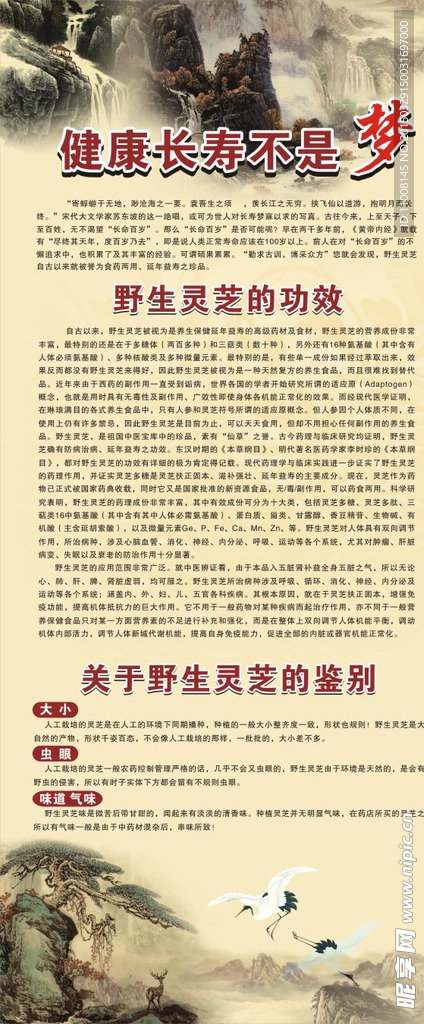 灵芝展架