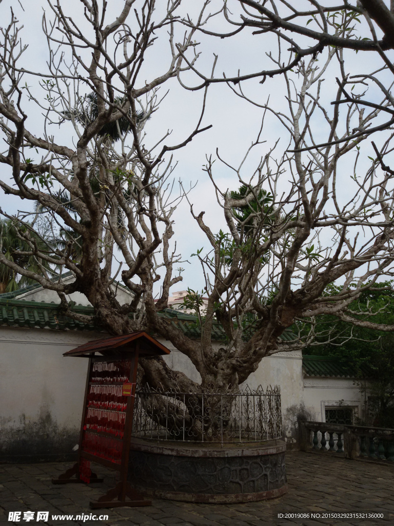 中式园林