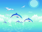 海豚