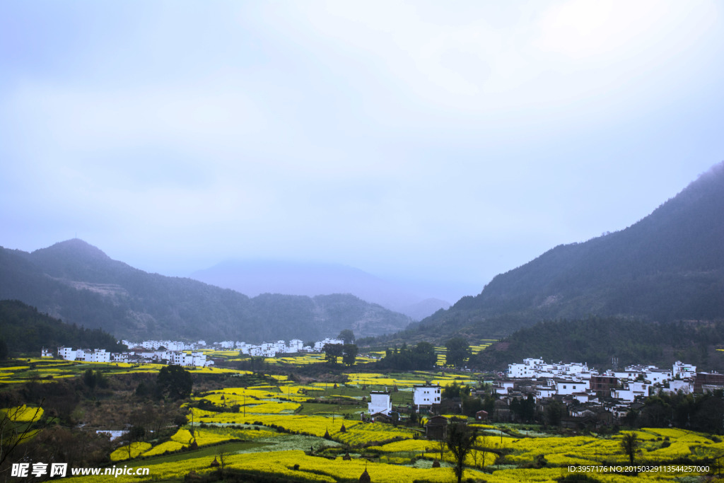 婺源江岭风光