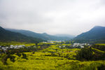婺源江岭风光