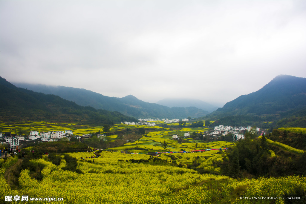 婺源江岭风光