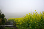 江南三月烟雨