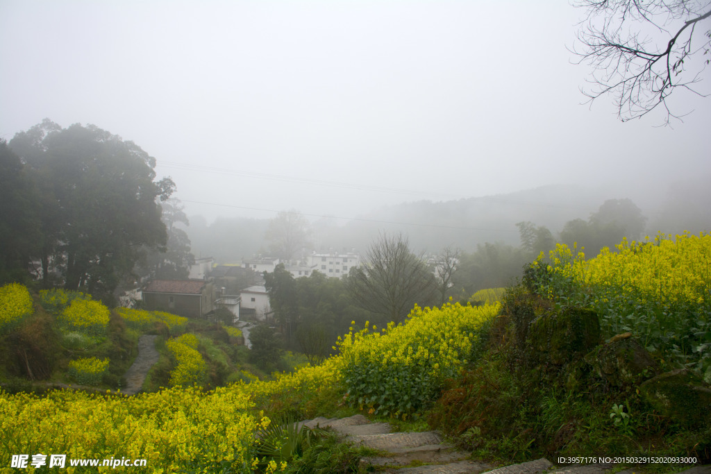 江南三月烟雨