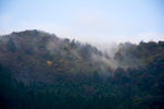 云雾山峰