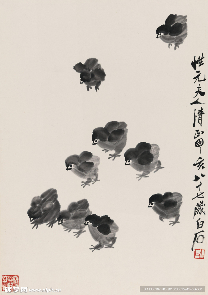 雏鸡