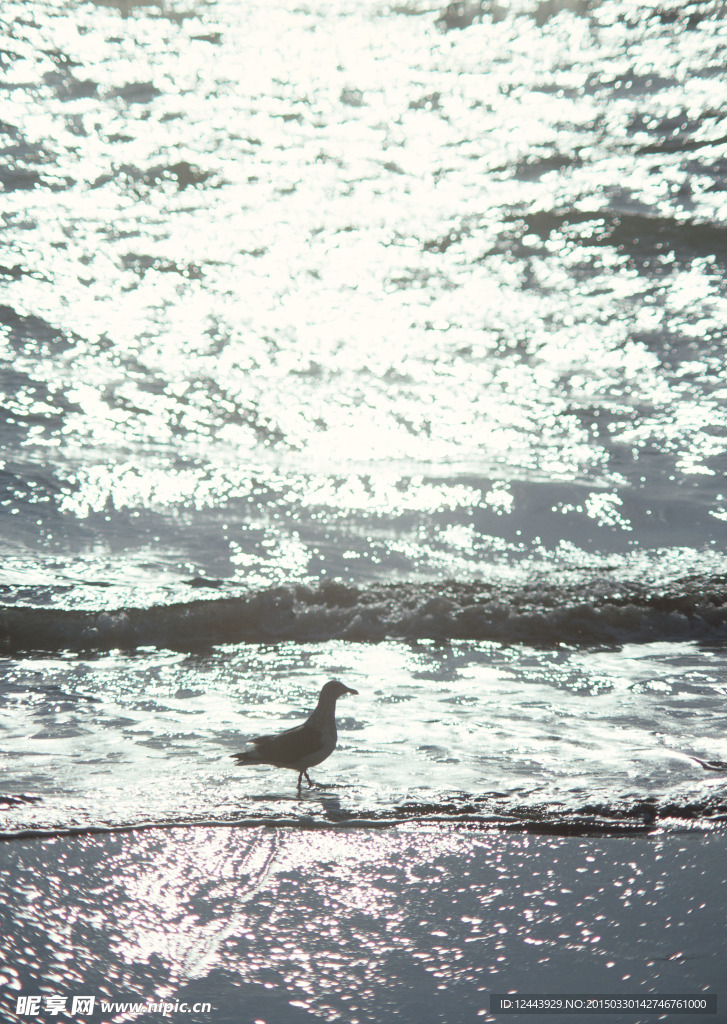 大海风光