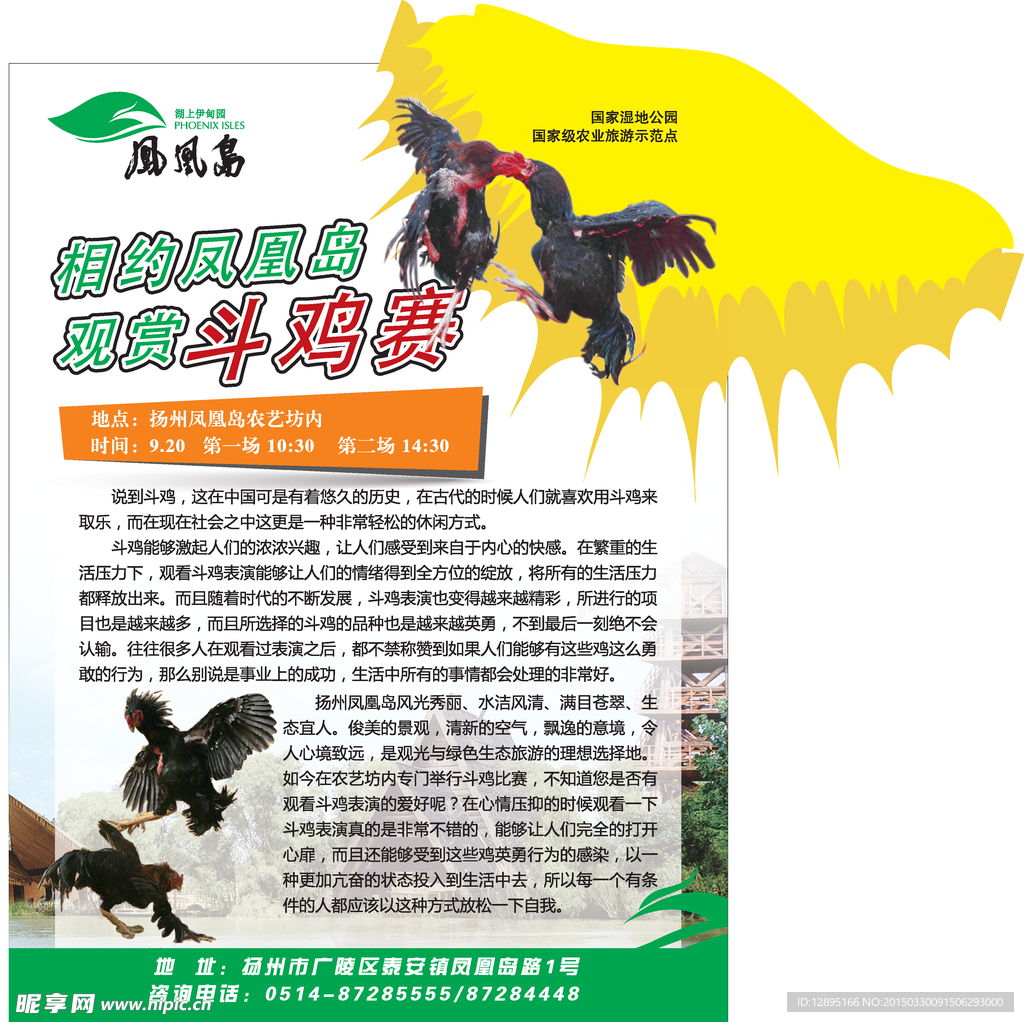 斗鸡比赛海报