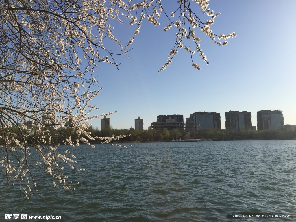 玉渊潭湖水