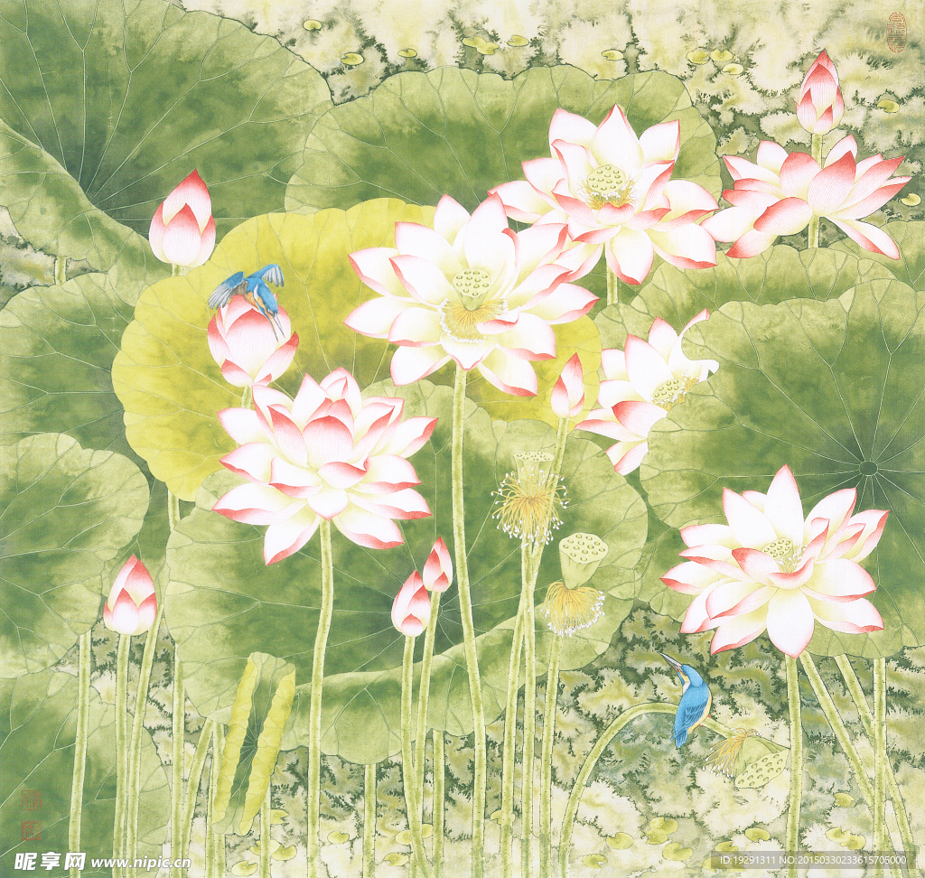 国画荷花