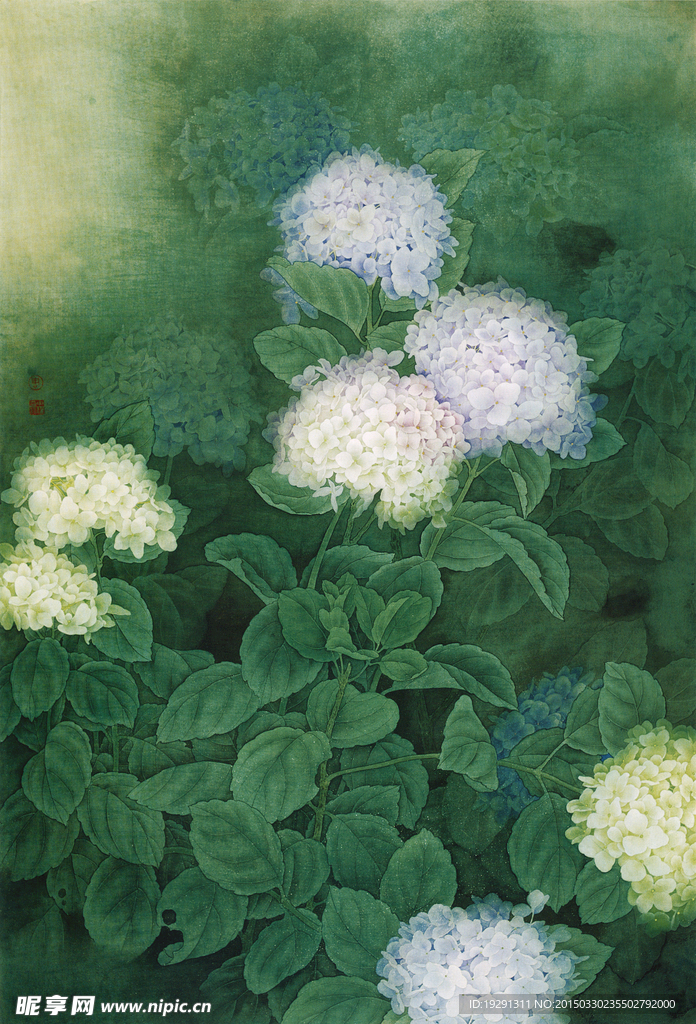 国画花卉