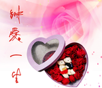 钟爱一生 玫瑰花