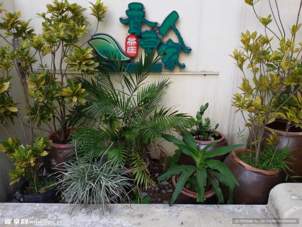 园林景观