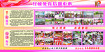 幼儿园简介展板