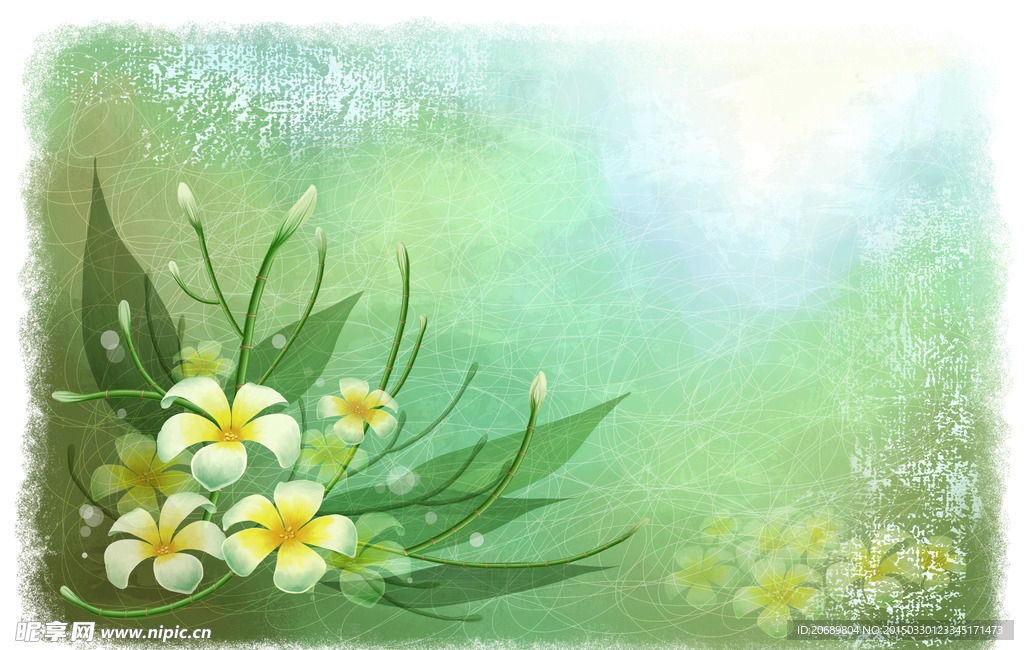 金盏花丛绿色插画卡片图