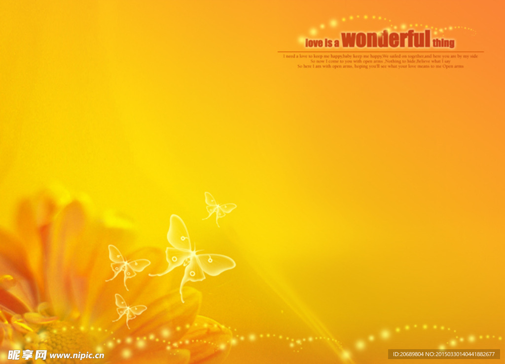 金色雏菊蝴蝶唯美高清图