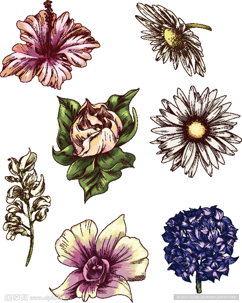手绘花卉