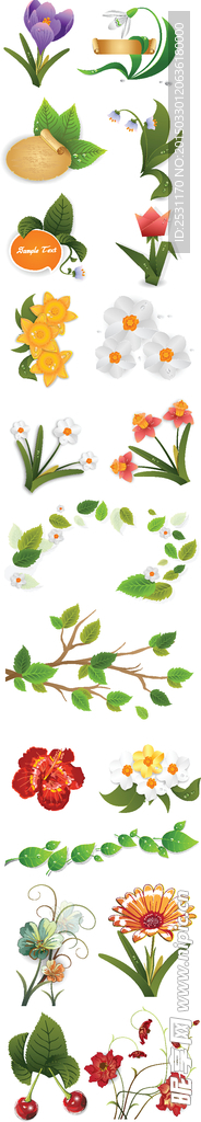 手绘花卉