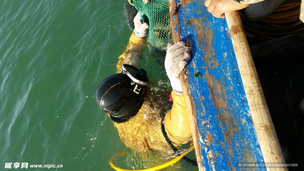 海参捕捞