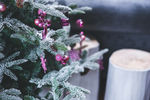 圣诞树 紫色装饰