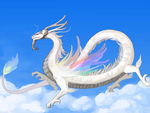 白龙