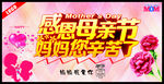 感恩母亲节