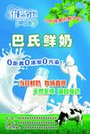优各尔