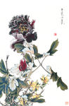 国画牡丹